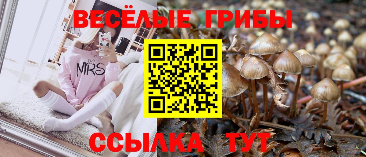Галлюциногенные грибы GOLDEN TEACHER Котовск