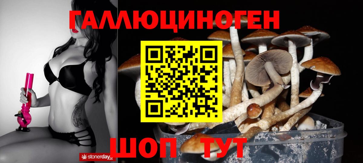 Котовск  Галлюциногенные грибы мухоморы  Вход с VPN 
